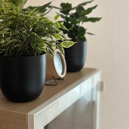 Appartement Elena リンツ エクステリア 写真