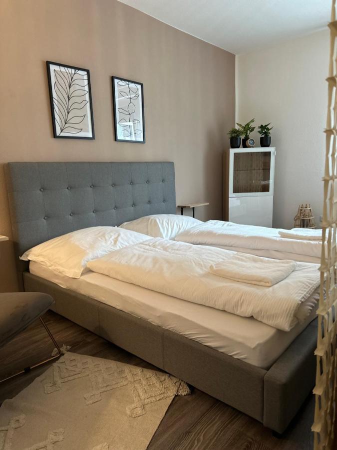 Appartement Elena リンツ エクステリア 写真